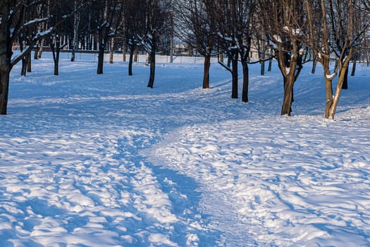 A trampled path in a city park with numerous footprints in the snow.