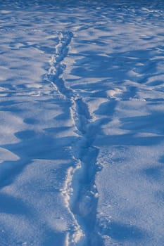 Traces and shadows on the snow surface.