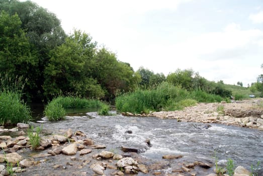 A photo of a river flowing through a lush, green forest on a sunny day. The water is clear and the rocks are visible.
