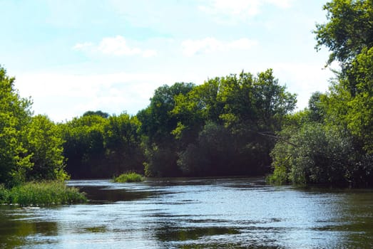 A tranquil river flows through a lush green forest on a sunny summer day. The water is calm and reflects the blue sky and white clouds above.