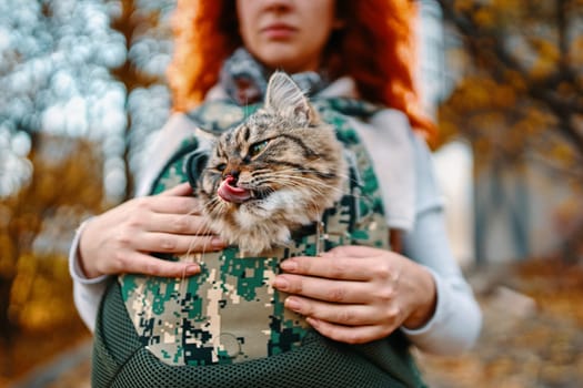 Tabby cat in a bag. The cat went for a walk in his travel bag.