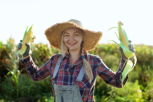 Corn. Young farmer woman smiling and harvesting corn. A beautiful woman on the background of the field holds the cobs of corn. Agriculture and horticulture.