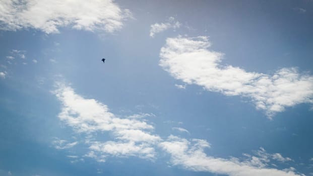 Silhouette of the MIG fighter jet in the cloudy sky