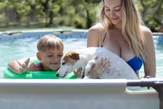A young family with a dog swim in the frame pool in the summer outside. Relax in the backyard.