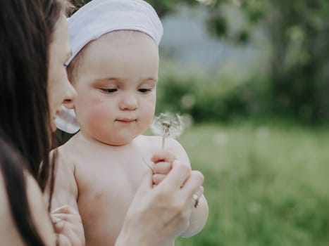 baby boy with mom playing dandelion flower in summer in the meadow