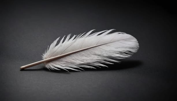 A single white feather is positioned horizontally on a dark gray surface. The feather is in focus, with a shallow depth of field. The background is blurred, creating a soft and ethereal effect.