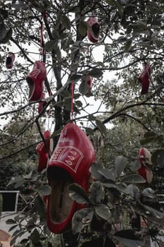 Clogs, typical Dutch wooden shoes, hanging in a tree as decoration. In Holambra, São Paulo, Brazil.