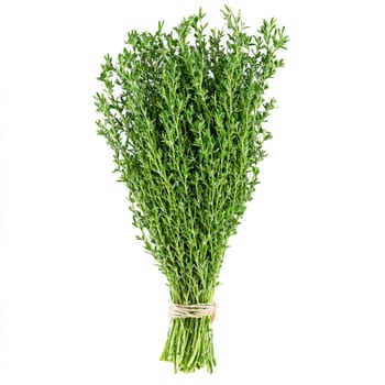 Fresh thyme sprigs vibrant green color tiny leaves delicate stems Food and culinary concept. Food isolated on transparent background.
