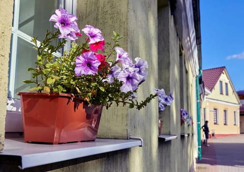A potted plant is positioned on a narrow ledge next to a window, receiving sunlight and fresh air. The plants green leaves add a touch of nature to the indoor space.