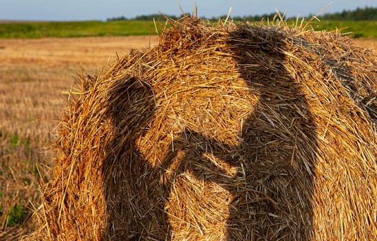 A round hay roll sits in a golden field at sunset with a long shadow of two people embracing cast on it. The sky is light blue, and the field continues in the background.