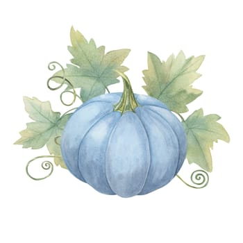 A Blue Pumpkin surrounded by green leaves and vines. Squash watercolor clipart. Perfect for autumn-themed designs, such as greeting cards, barn weddings, invitations, and seasonal home decor, flyer