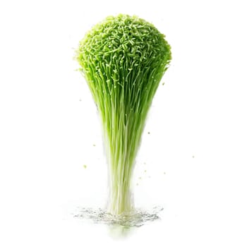 Wasabi with grated flesh and green paste in dramatic splash of water Food and culinary. Food isolated on transparent background.