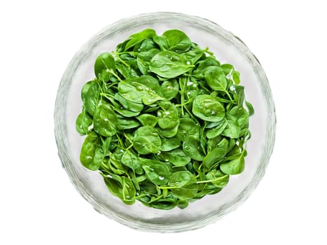 Spinach fresh leaves with a drizzle of olive oil served in a transparent glass bowl. Food isolated on transparent background.