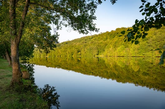 the Moselle in France with a reflection in the water of a tree line during the golden hour with an old tree in the foreground