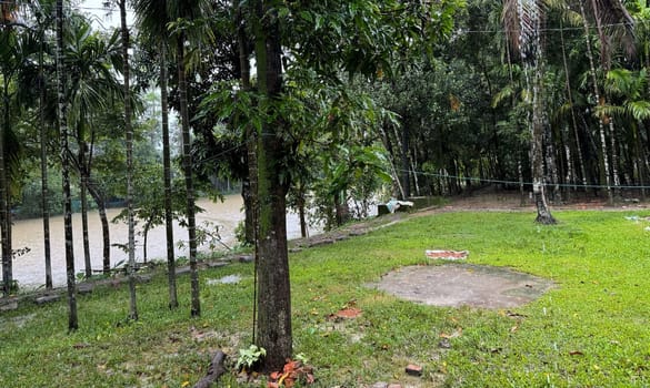 A serene grass field with lush green trees and a calm river flowing through the landscape. The scene captures the peaceful essence of nature, ideal for use in outdoor, nature, and landscape projects.