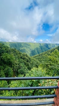 A peaceful view of a dense forest from the vantage point of a balcony, offering a serene and relaxing scene. Ideal for use in nature, relaxation, and architectural projects.