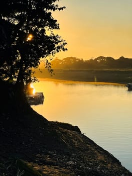 : A solitary tree standing next to a calm body of water, reflecting the serene and tranquil nature of the landscape. Ideal for nature, environmental, and landscape projects.