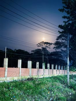 A rustic fence with power lines and trees in the background, blending elements of nature and infrastructure. Perfect for rural, environmental, and industrial-themed projects.