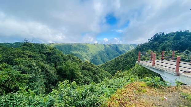 A stunning view of a bridge spanning across a valley filled with lush trees. The image highlights the harmony between human engineering and nature, ideal for travel, architecture, and landscape projects.