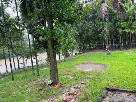 A serene grass field with lush green trees and a calm river flowing through the landscape. The scene captures the peaceful essence of nature, ideal for use in outdoor, nature, and landscape projects.