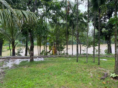 A picturesque grass field adorned with vibrant trees, with a beautiful body of water in the background. This scenic view showcases the harmony between land and water, perfect for nature, travel, and environmental themes.