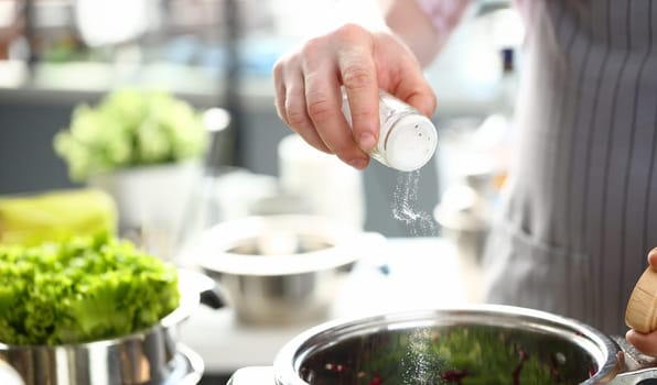 Male Hands Adding Vegetable Salad White Salt. Chef in Apron Putting Spice to Dish. Preparing Organic Fresh Food. Dieting Cuisine at Home Kitchen. Healthy Culinary Recipe Horizontal Photography