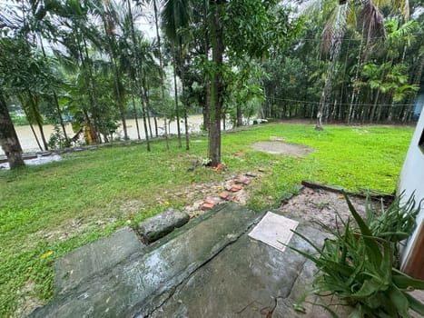 A well-maintained grass yard featuring lush green trees and a winding path. The scene exudes tranquility and natural beauty, ideal for use in gardening, landscaping, and outdoor lifestyle projects.