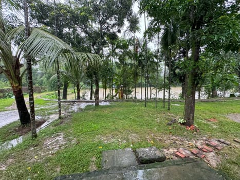 A tranquil grass field dotted with trees and a small puddle of water reflecting the surroundings. This serene landscape captures the simplicity and beauty of nature, ideal for outdoor, nature, and environmental projects.