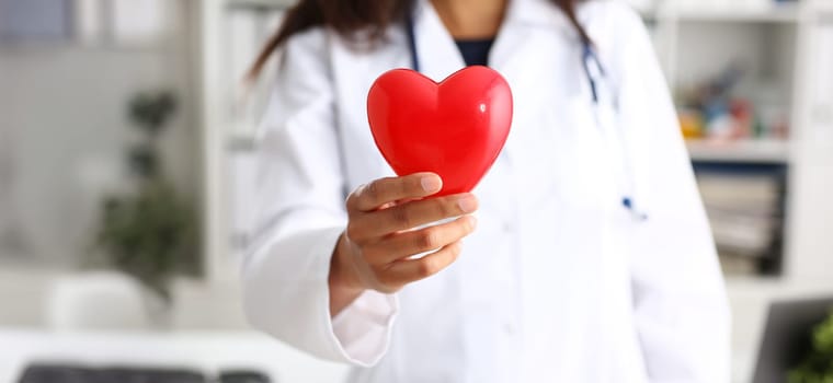 Female doctor hold in arms and cover red toy heart closeup. Cardio therapeutist student education CPR 911 life save physician make cardiac physical pulse rate measure arrhythmia lifestyle
