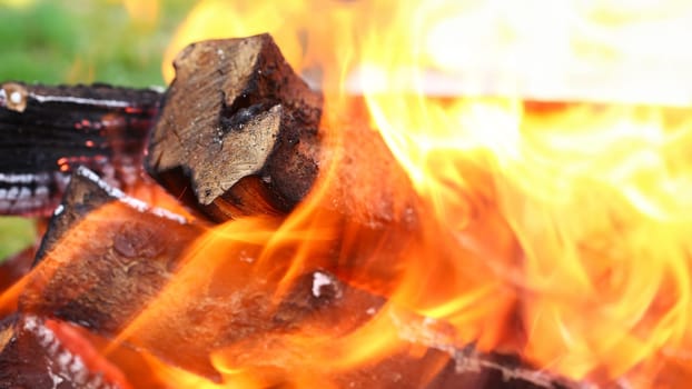 Focus on campfire full of flames possessing dead highly efficient type of forest wood specially cut for heat release usage in large scale amounts and factory production. Blurred background