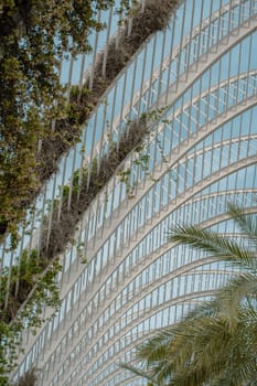 Close-up of metal lattice arches adorned with lush greenery. The intricate design and natural elements reflect modern architectural aesthetics and environmental integration.
