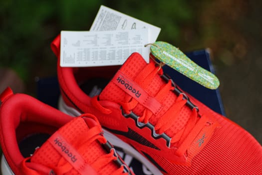 Tyumen, Russia-June 20, 2024: Sneakers red Reebok men model Nanoflex EK M2.