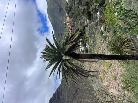 Beautiful mountain village Masca in Tenerife, Canary Islands, Spain. High quality photo