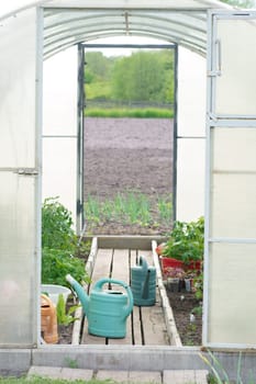 equipment for growing vegetables in a greenhouse. Tools for working in the greenhouse. Agriculture.