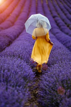 Woman lavender field. A middle-aged woman in a lavender field walks under an umbrella on a rainy day and enjoys aromatherapy. Aromatherapy concept, lavender oil, photo session in lavender.