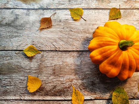 Yellow pattison on wooden boards of the table. Healthy Delicious Beautiful Vegetable in autumn. Abstract Background, texture, frame, place for text and copy space