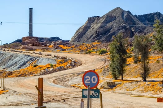 Wild flowers, a smoke stack and a mine dump at the now defunct copper mine in Nababeep, in the Northern Cape Namaqualand. Mining began in the 1850s