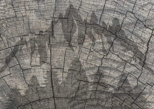 Illustration of a wooden background with faded trees and mountains.