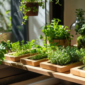 Green microgreens on modern shelves photo