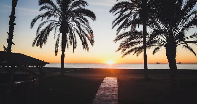 Serene beach sunset with wooden pathway, palm trees, and distant ships. Perfect maritime evening imbued with tranquility and warmth download image