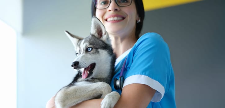 Close-up of veterinarian putting bandage on dogs paw after injury, dog pet in vet, ache paw. Puppy on appointment in vet. Veterinary and animal friendly concept