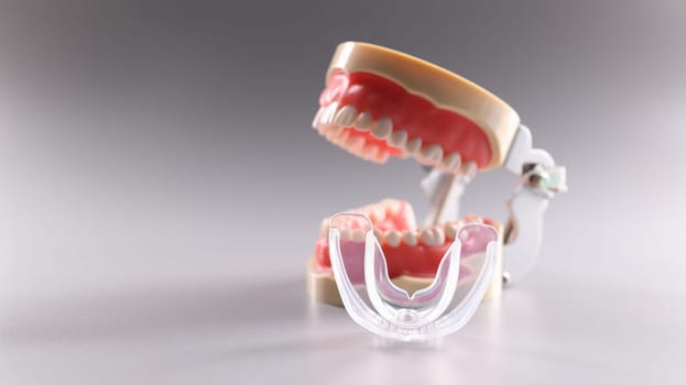 Close-up of tooth model and aligner teeth orthodontic dental model or human jaw. Model for educational process. Dentistry, stomatology, care concept