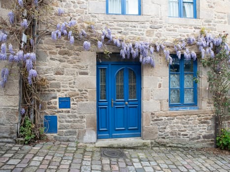 old house in dinan with typical french blue painted doors and wisteria sinesis flowers on the facade