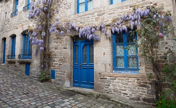old house in dinan with typical french blue painted doors and wisteria sinesis flowers on the facade