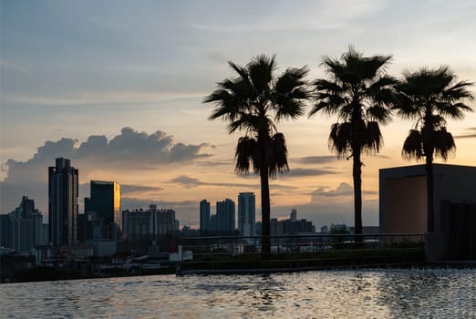 Bangkok, Thailand - 29 May 2024 - Silhouette view of Skyscraper and Sugar palm trees with Background of Dramatic sky during stunning before sunset. Beautiful Clouds on Vanilla sky over Large Metropolitan City of Bangkok, Space for text, Selective focus.