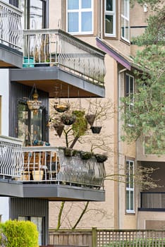 Dried suspended home patio garden on winter season in Vancouver.