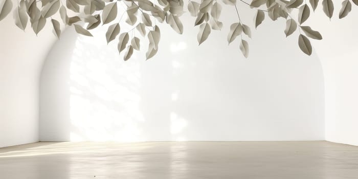 Minimal empty room interior design with white wall, sunlight and decorative leaves. Background template mockup for product display, banner, poster.