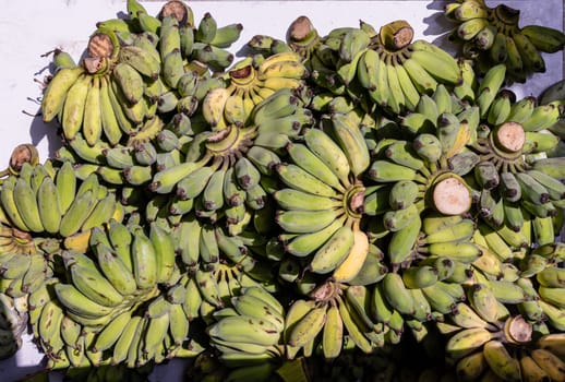 Pisang Awak or Ducasse banana for the worship in Thai Temple. Group of raw and ripe Cultivated Banana (Nam Wah Banana), Fresh Bananas pile, Top view, Copy space, Selective focus.