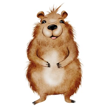 Capybara cute watercolor. Funny animal hand drawing on isolated white background. Clip art of a friendly guinea pig. Ideal for stickers, posters and cards. High quality illustration