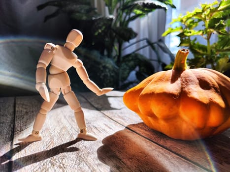 Small wooden toy man is gardener and farmer with a huge orange or yellow vegetable squash. The concept of a good harvest in autumn on the farm